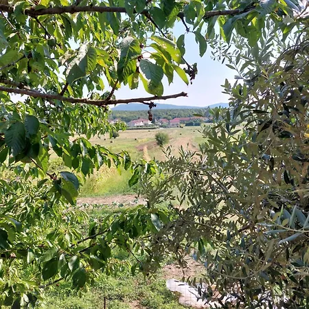 בית נופש Planinic סיטלוק