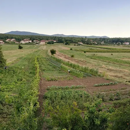 Planinic Tatil Evi *